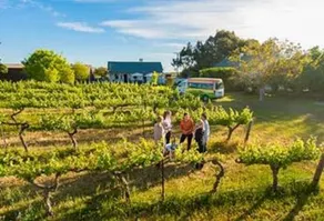 Barossa Best - Image 5