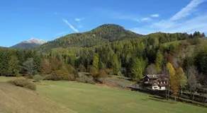 Volpe Rossa - Image 3
