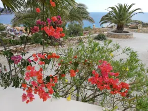Tranquil Villa With Sea View in Ammopi Karpathos - Image 2