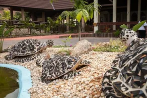 Amani Tiwi Beach Resort - Image 5