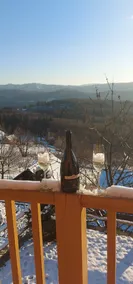 Vineyard cottage Stopar - Image 3