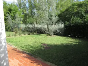 Fattoria La Steccaia - Image 5