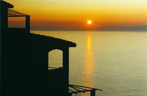 Capo - Image 3