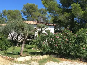 Allée Des Buis - Image 2