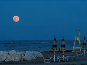 Eko - Image 4