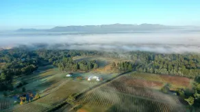 Misty Glen - Image 4