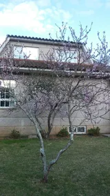 Redondela Pontevedra 102672 Villa By Mo Rentals - Image 5