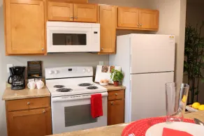 Autumn Leaf Furnished Apartments - Image 2