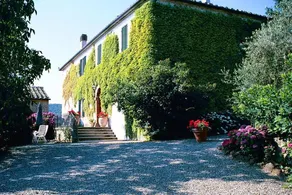 Homerez - Haus in Murlo mit Pool - Image 4