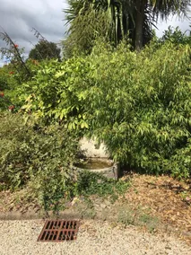 Villa Magdanic - Image 4