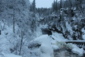 Wanha Autti Camping - Image 3