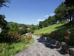 Beautiful Home With Terrace, Located in Nature - Image 4