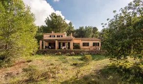 Son Tord - Image 4