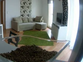 Corvina Apartments - Image 2