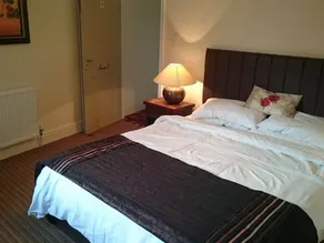 The Red Lion - Image 2