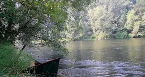 McKenzie River Inn Lodging & Fine Dining - Image 2