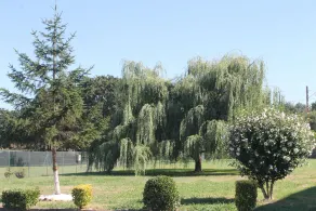 Hotel Reyes Astures - Image 3