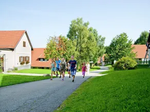 Beautiful Holiday Home in Litschau With Swimming Pool - Image 4