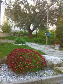 Agriturismo Casa Del Sole - Image 2