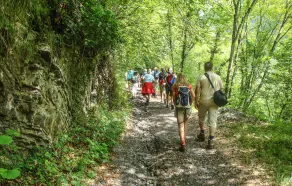 La Capannina - Image 3