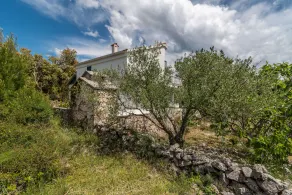 Casa Verde - Image 4