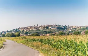 Barbaiano C - Image 4