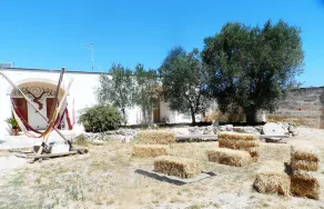 Masseria Ospitale - Image 4