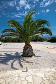 Villa Sapphire - Image 3