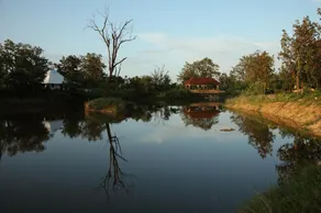 Tuli Tiger Corridor - Image 5