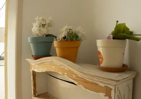 Well'Come To The Backyard House - Image 5