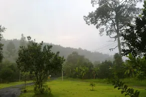 Baan Pennee - Image 4