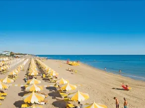 Eko - Image 5