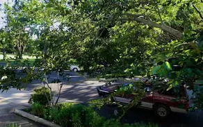 Glenellen Bed and Breakfast - Image 5