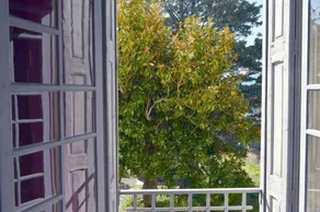 Le Magnolia - Image 3