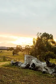 Lancemore Hill At Macedon Ranges - Image 3