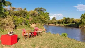 Hammerkop Migration Camp - Image 2