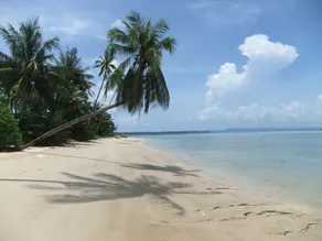 Coconut Villa - Image 2