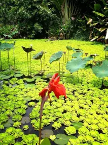 Baan Huay Namrin - Image 3