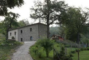 Villa Dafne - Villa Dafne - Image 3