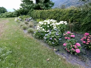 Agriturismo Roncadizza Lumaghera - Image 5