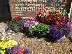 Primrose Cottage - Image 3