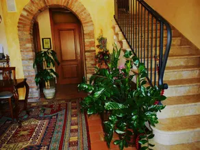 Borgo D'Asolo - Image 5