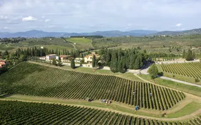 Villa Volpi nel Chianti - Image 3