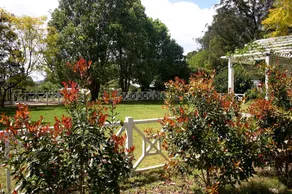 Honeybee Country Accommodation - Image 5