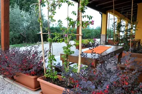 La Dolce Vallata - Image 5