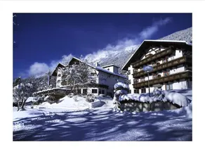 Alpenhotel Linserhof - Image 4