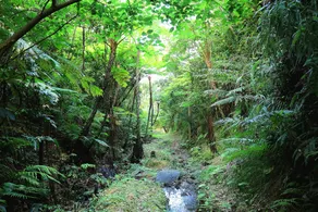 Cottage Tingara - Image 4