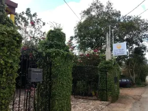 Hotel Casa Novelo - Image 3