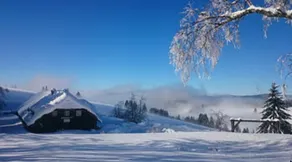 Berggasthaus Gisiboden Alm - Image 4