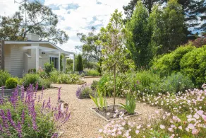 Haven Red Hill - Image 4